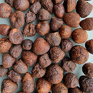 Boiled Betelnut Image